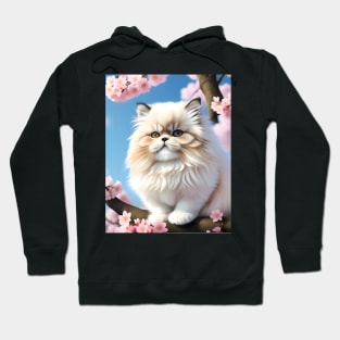 Persian cat in a cherry blossom tree - Modern digital art Hoodie